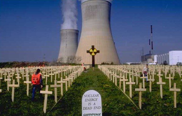 10935234.jpg