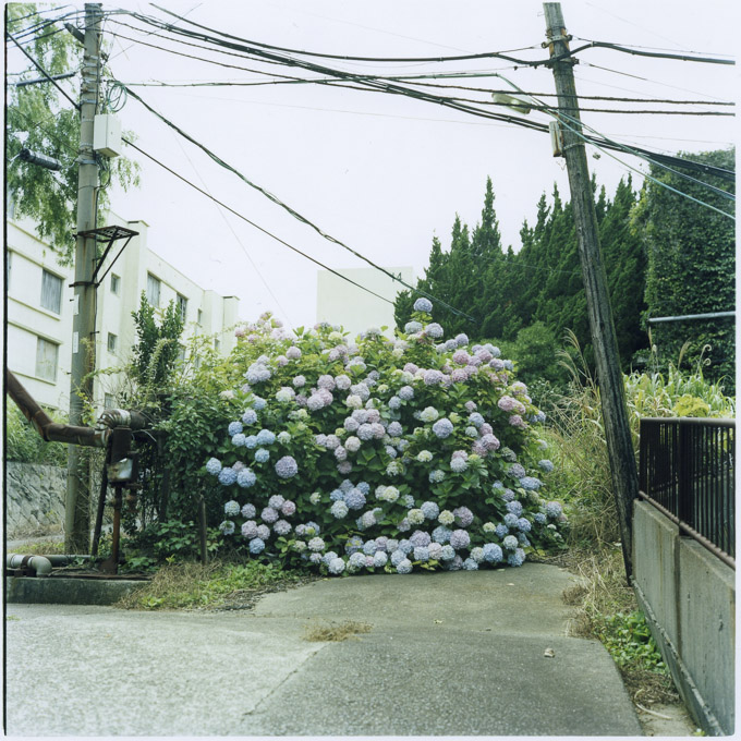 img201-2.jpg
