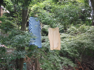P7195921.jpeg