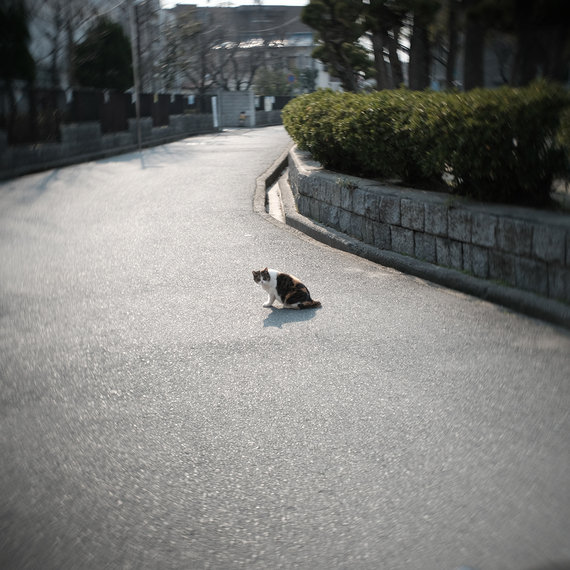 DSCF3684.JPG