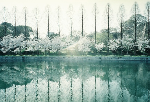 写真 5.JPG